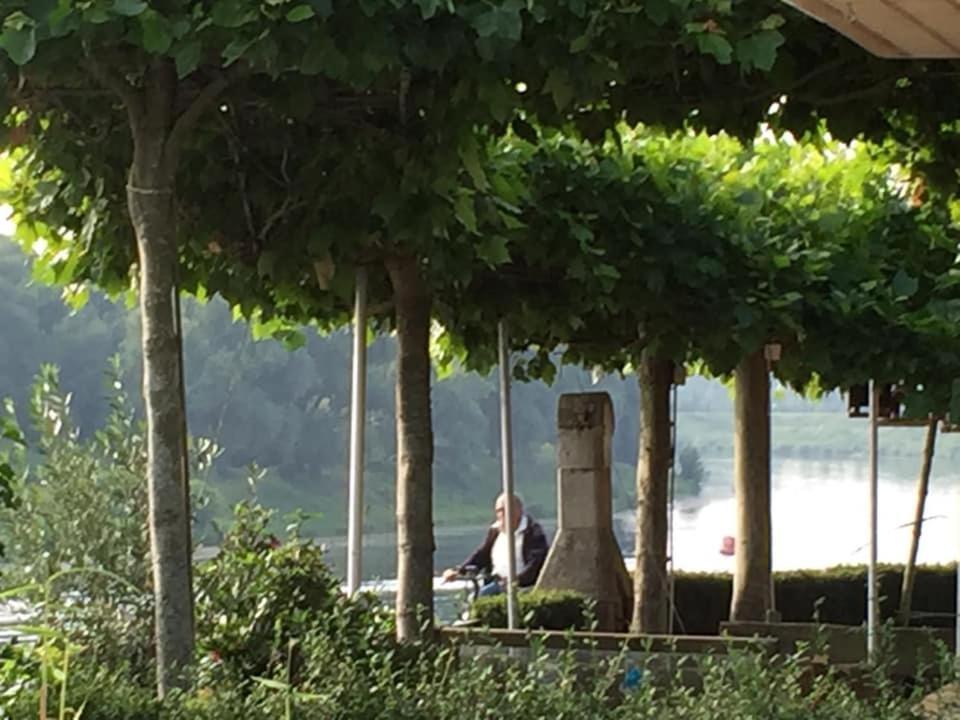Maas Chalet Aldeneik Maaseik Exteriör bild